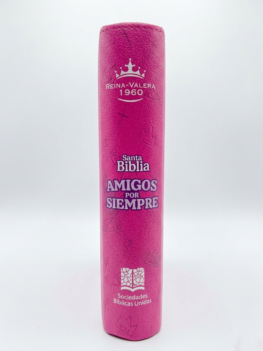 Santa Biblia amigos por siempre Rosa lomo