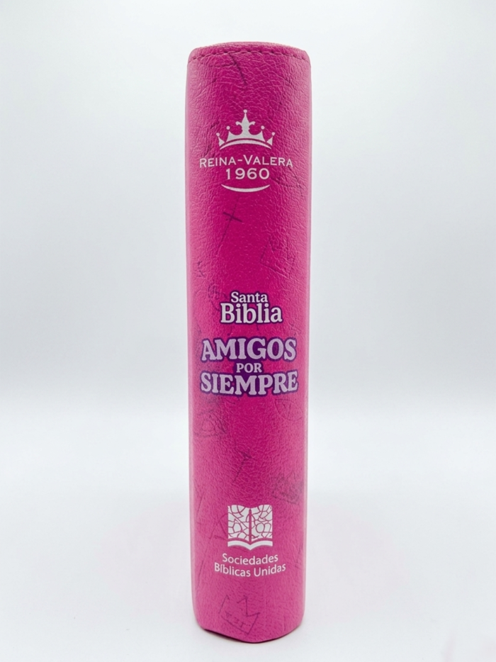 Santa Biblia amigos por siempre Rosa lomo Santa Biblia amigos por siempre Rosa lomo