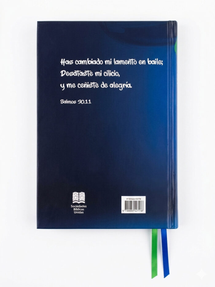 Santa Biblia Edición Juvenil contraportada