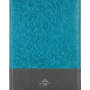 Santa Biblia Letra Gigante azul y gris portada