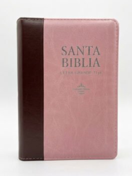 Santa Biblia. Edición letra grande