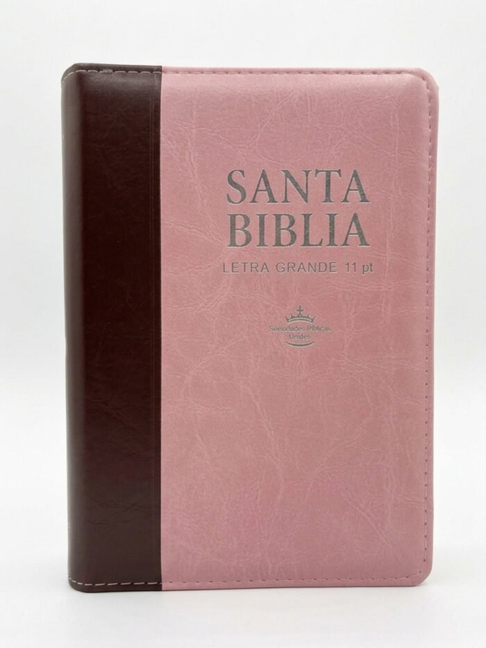Santa biblia Letra grande Portada rosa Portada